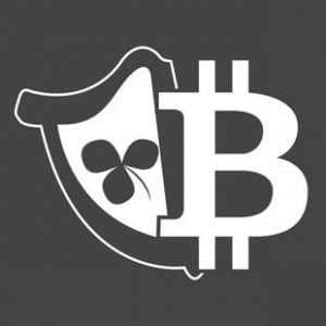 bitcoinsinireland.com-logo